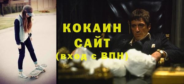 гидра Арсеньев