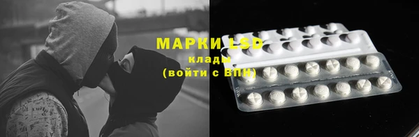 гидра Арсеньев