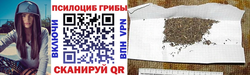 Галлюциногенные грибы мухоморы  Белёв 