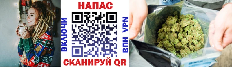 Конопля SATIVA & INDICA  Белёв 